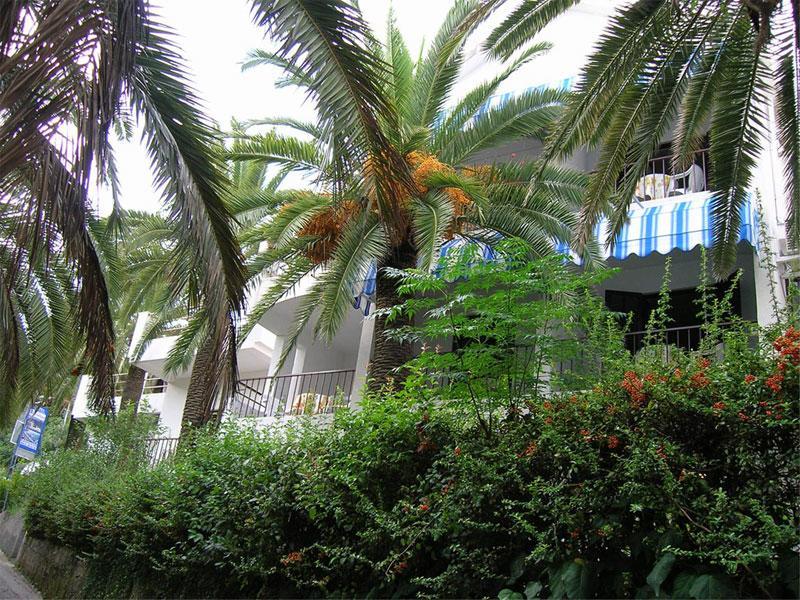 Apartmani I Sobe Goca Херцег-Нови Экстерьер фото