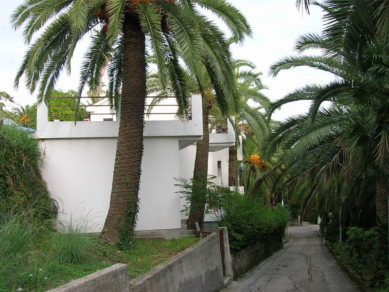 Apartmani I Sobe Goca Херцег-Нови Экстерьер фото